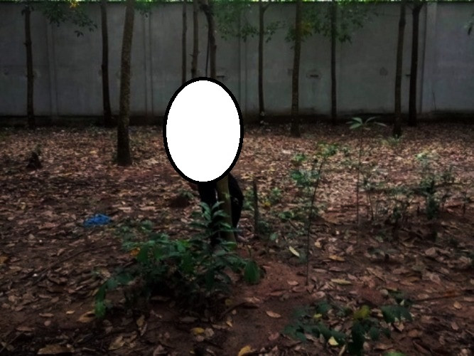 Một người đàn ông chết bí ẩn trong vườn cao su ảnh 1