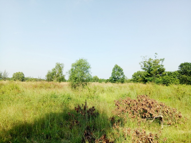 Toàn cảnh khu đất gần 200 ha chuyển nhượng trái quy định ở Bình Dương ảnh 11