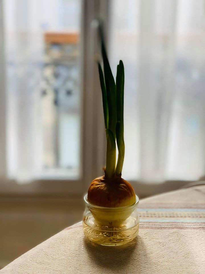 Nhật kí Paris phong tỏa của BTV Mỹ Linh ảnh 4