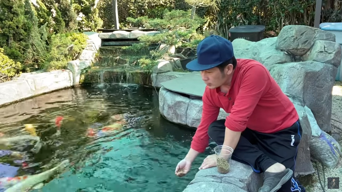 'Lóa mắt' với vườn cây sai trĩu quả của Bằng Kiều ở Mỹ ảnh 8