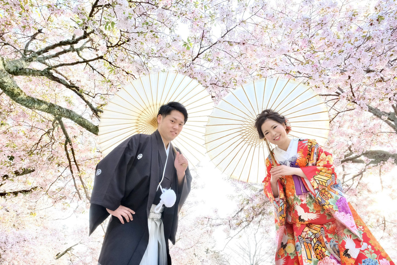 Lạc vào xứ sở thần tiên trong vườn hoa anh đào ở Nhật Bản ảnh 4