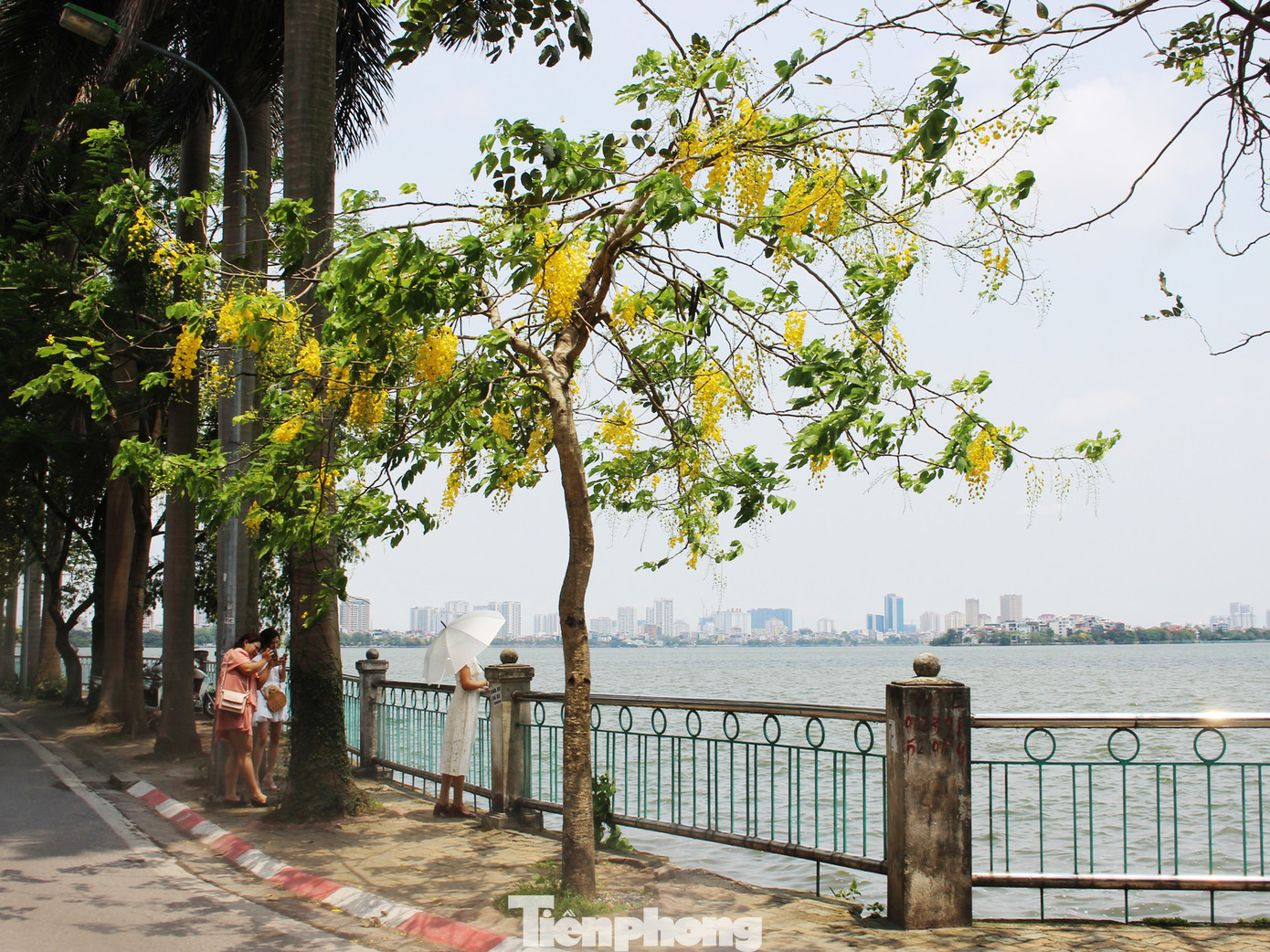 Hà Nội đắm mình trong những sắc hoa mùa hạ ảnh 13