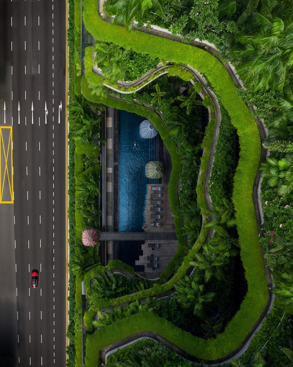 Đắm mình vào những bức ảnh xanh mát 'giải nhiệt' nắng hè ảnh 17