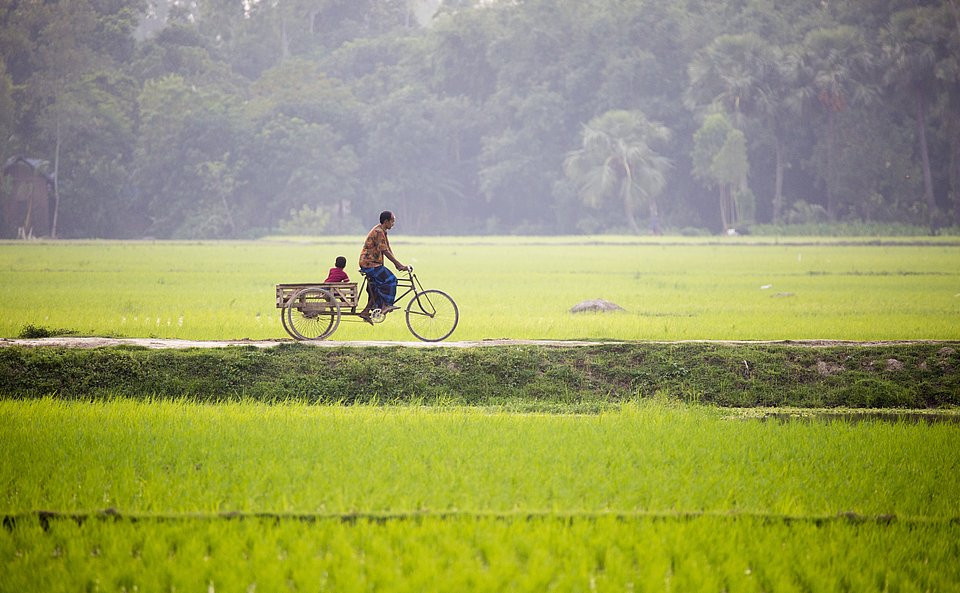 Đắm mình vào những bức ảnh xanh mát 'giải nhiệt' nắng hè ảnh 20
