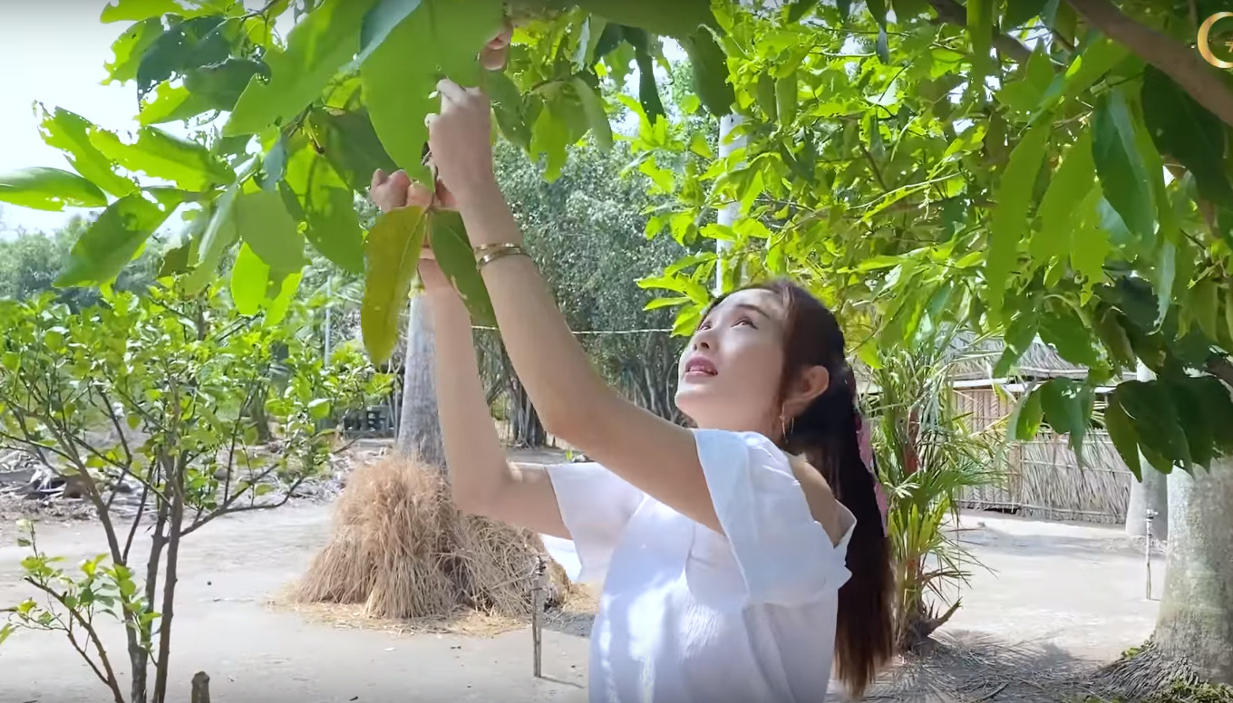 Minh Hằng gây choáng vì sở hữu khu vườn rộng tới 2.000 m2 gần thành phố ảnh 4