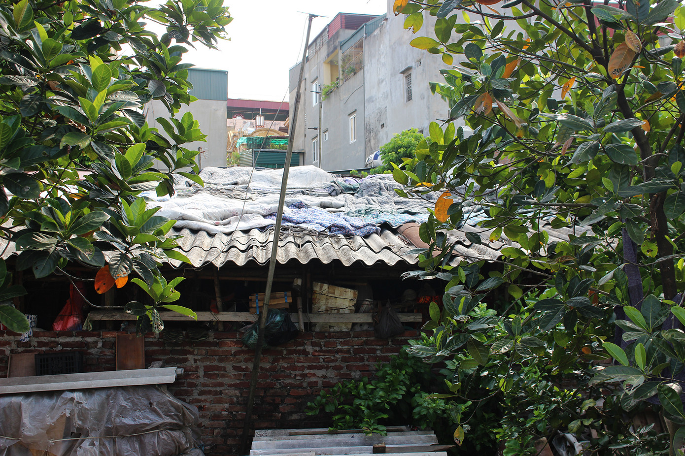 Muôn kiểu chống chọi nắng nóng như 'đổ lửa' của người lao động Hà Nội ảnh 12