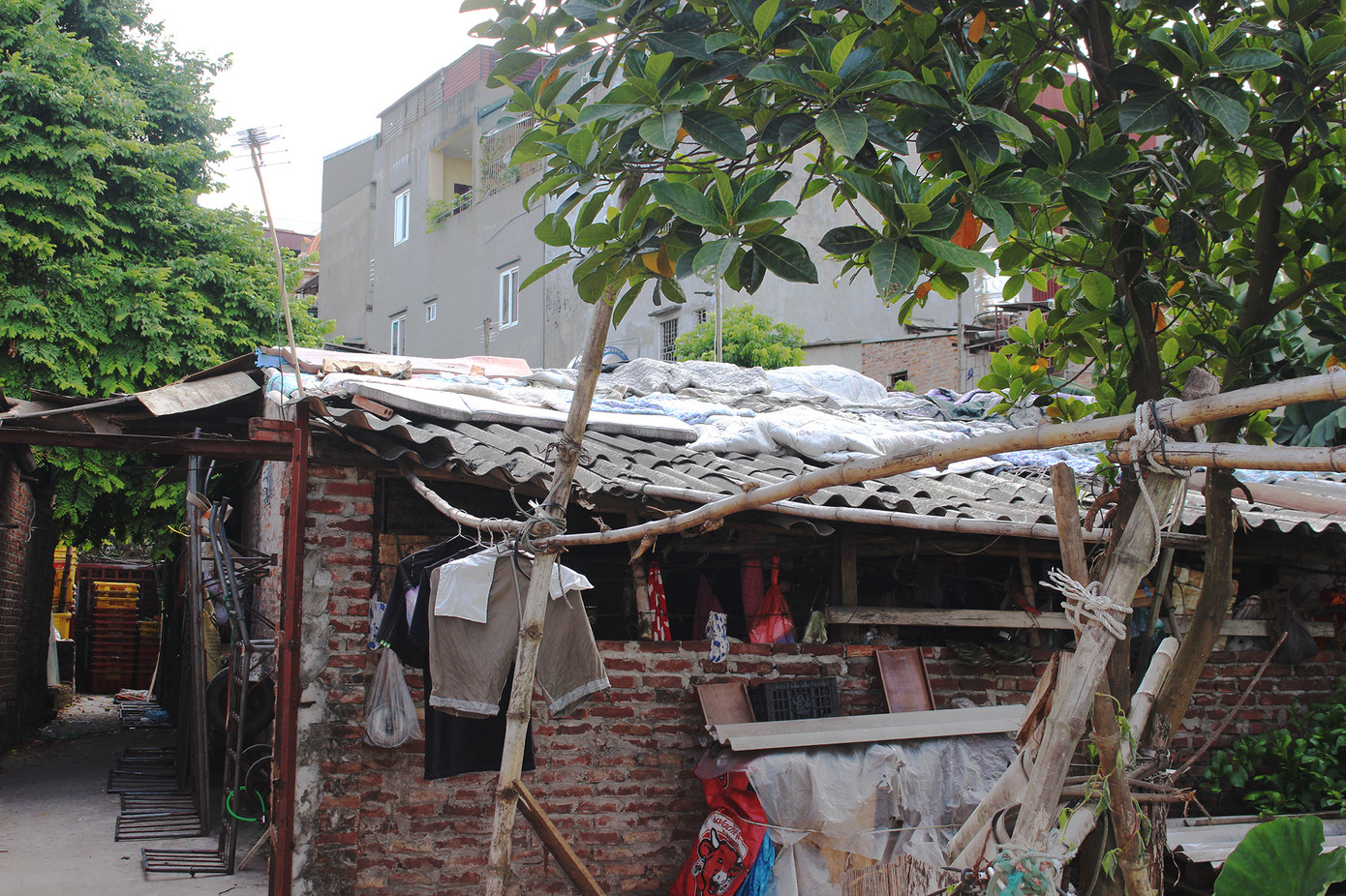 Muôn kiểu chống chọi nắng nóng như 'đổ lửa' của người lao động Hà Nội ảnh 11