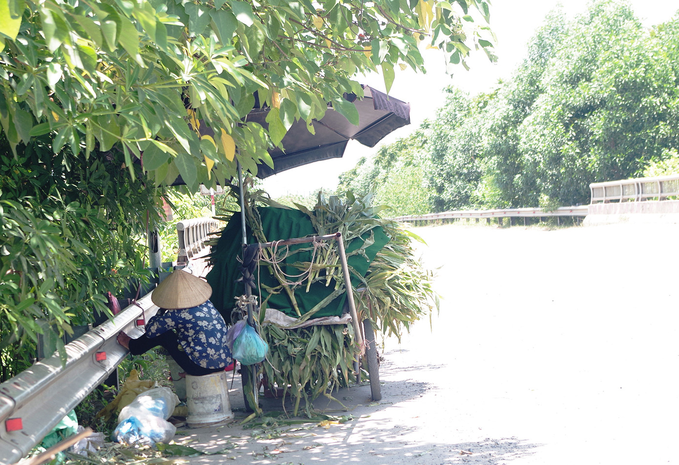 Muôn kiểu chống chọi nắng nóng như 'đổ lửa' của người lao động Hà Nội ảnh 6