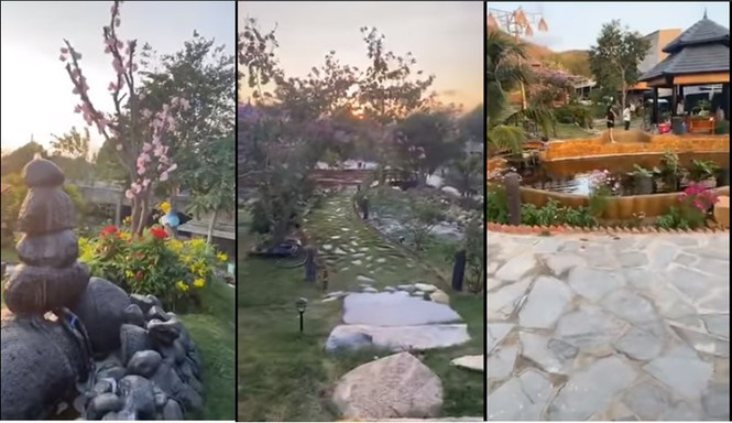 NSND Hồng Vân hé lộ biệt thự rộng lớn có khế trăm tuổi, cá trê 'thành tinh' giữa Sài Gòn ảnh 12