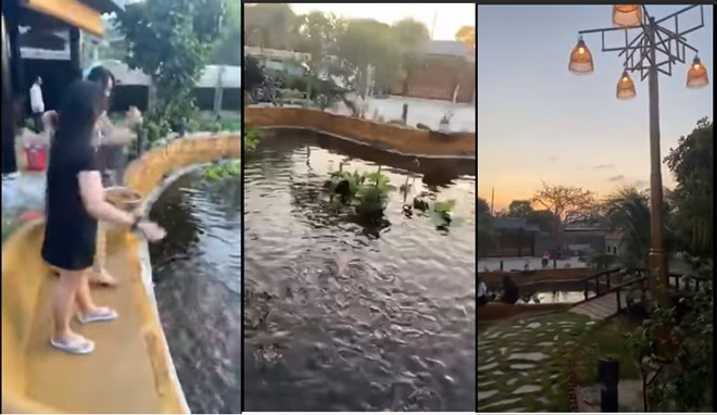 NSND Hồng Vân hé lộ biệt thự rộng lớn có khế trăm tuổi, cá trê 'thành tinh' giữa Sài Gòn ảnh 13