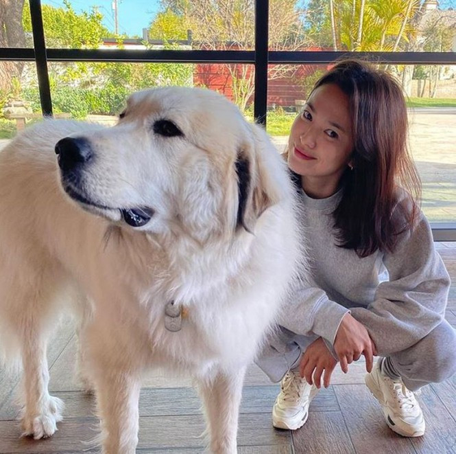 Showbiz 23/3: Phản ứng bất ngờ của diễn viên 'Đừng bắt em phải quên' khi phim ngừng chiếu ảnh 4