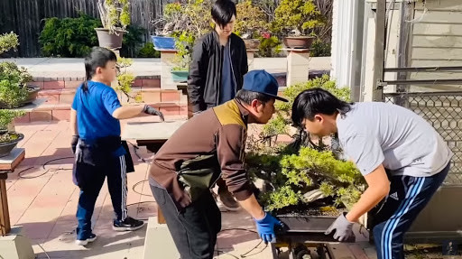 'Lóa mắt' với vườn cây sai trĩu quả của Bằng Kiều ở Mỹ ảnh 12