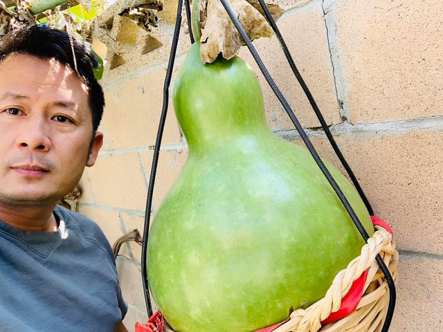 'Lóa mắt' với vườn cây sai trĩu quả của Bằng Kiều ở Mỹ ảnh 11