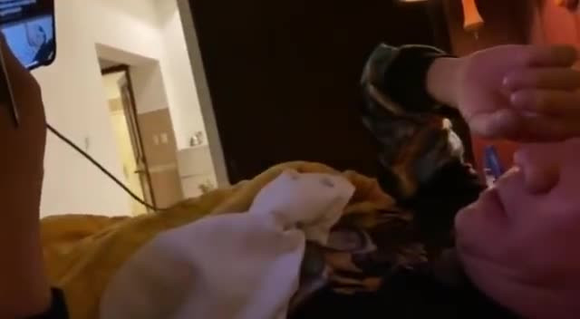 Vũ Hà tiết lộ giá cát - xê cao ngất của Mỹ Tâm ảnh 1