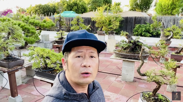 Những sao Việt vẫn đang mắc kẹt ở xứ người vì đại dịch COVID-19 ảnh 6