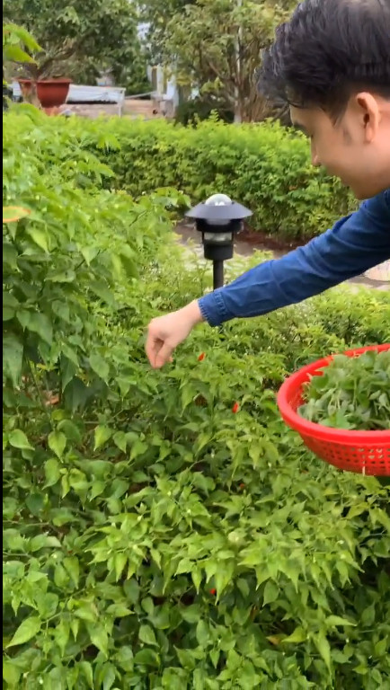 Danh hài Hoài Linh: 5 tháng không có show, đã nghĩ đến bán hàng online ảnh 2