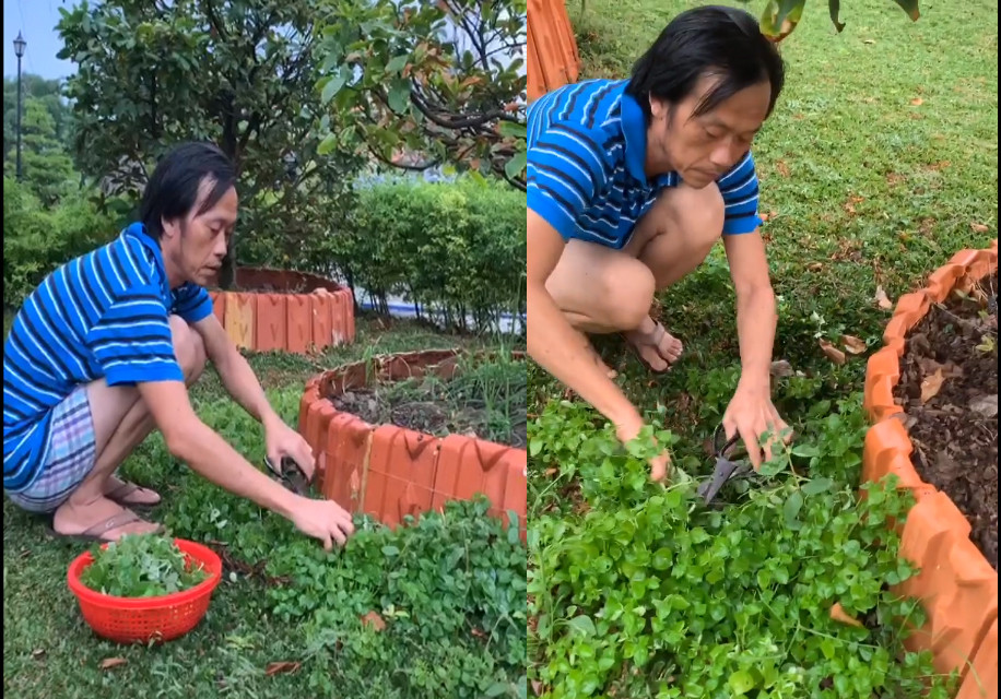 Danh hài Hoài Linh: 5 tháng không có show, đã nghĩ đến bán hàng online ảnh 1