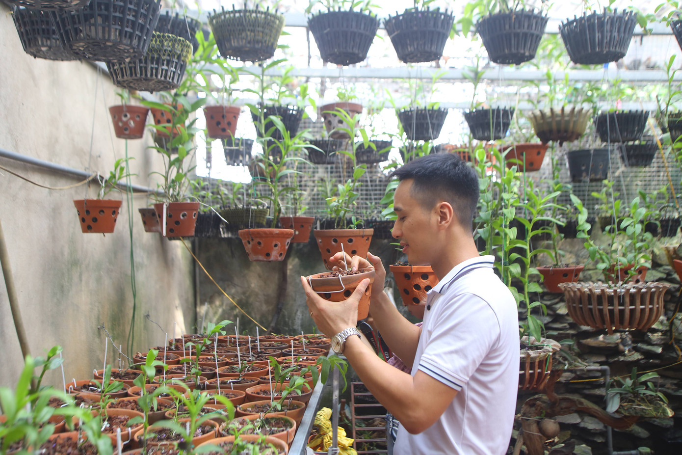 Tiết lộ bất ngờ về điều khoản đền bù của giới chơi lan đột biến 'trăm tỷ' ảnh 3