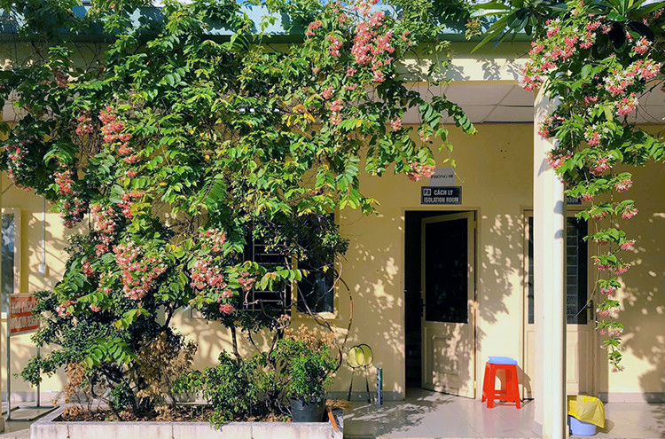 Cô gái 'gây bão' từ khu cách ly Covid-19 ảnh 2