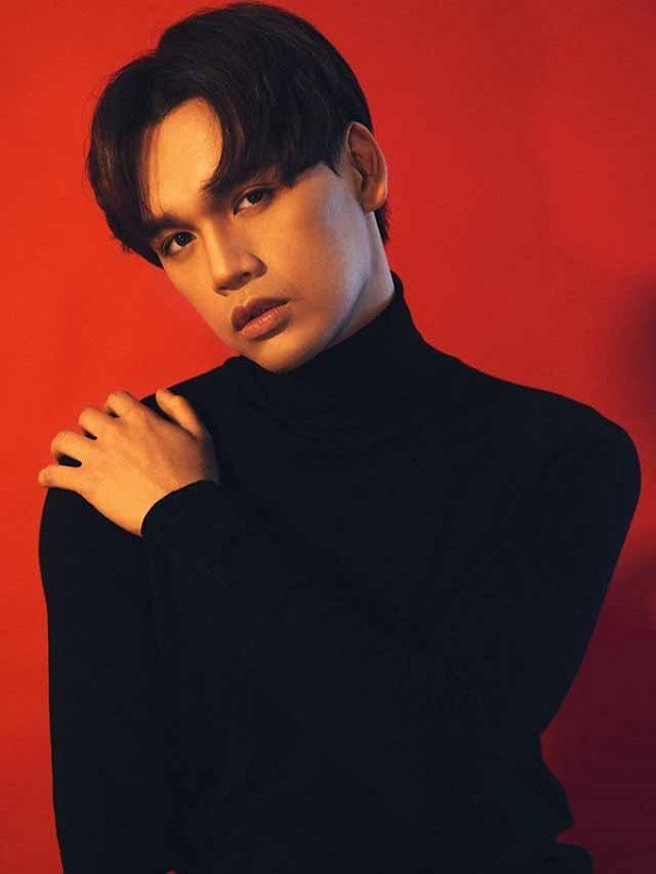 Nghệ sĩ Việt hướng về Đà Nẵng trong trận chiến chống COVID-19 ảnh 1