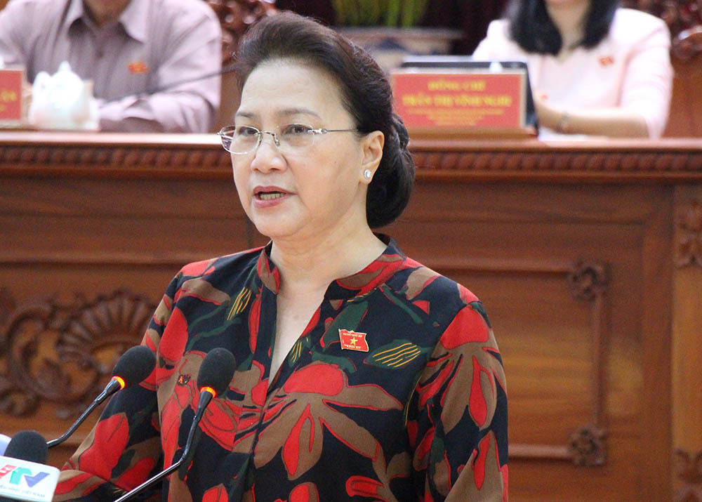 Chủ tịch Quốc hội trả lời cử tri về vụ án Hồ Duy Hải ảnh 2