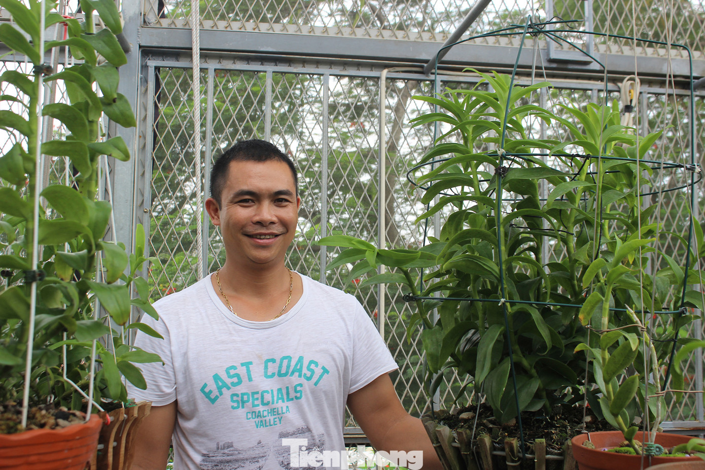 'Giao dịch chục tỷ đồng cho một giò lan đột biến không có gì là kinh khủng’ ảnh 2