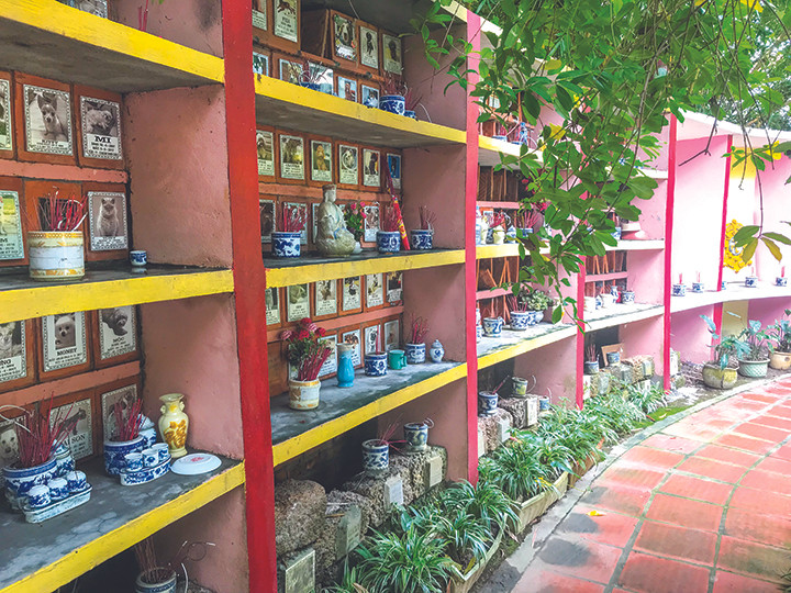 Hà Nội có Nguyễn Bảo Sinh... ảnh 3