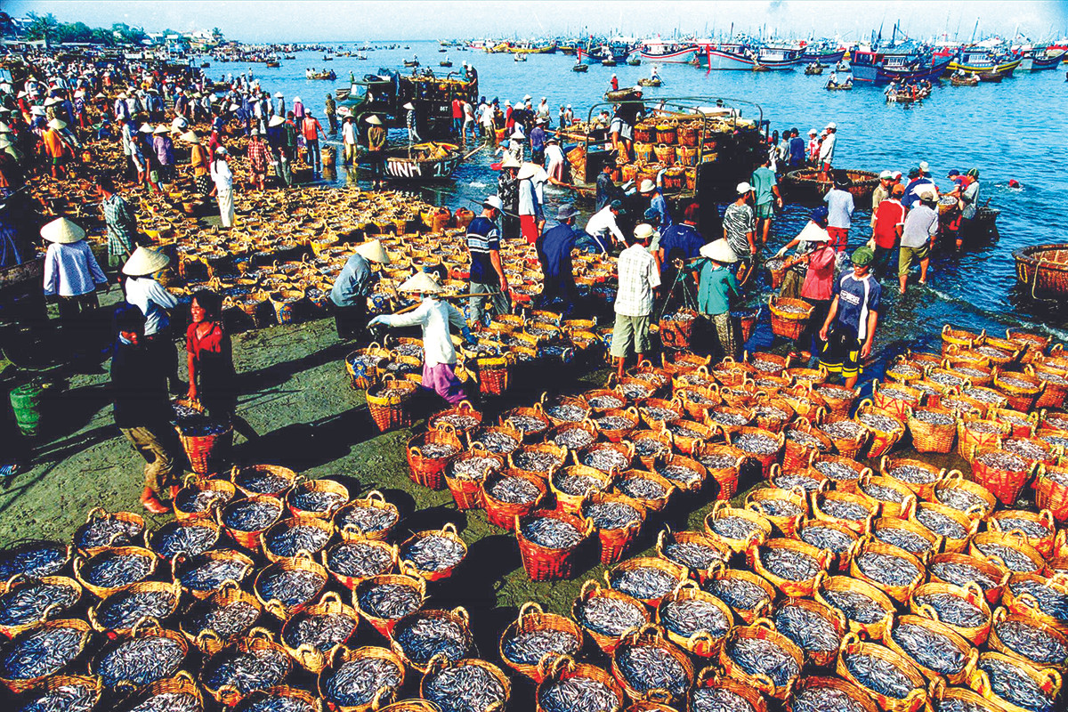 Người tái hiện lịch sử nước mắm Việt ảnh 1