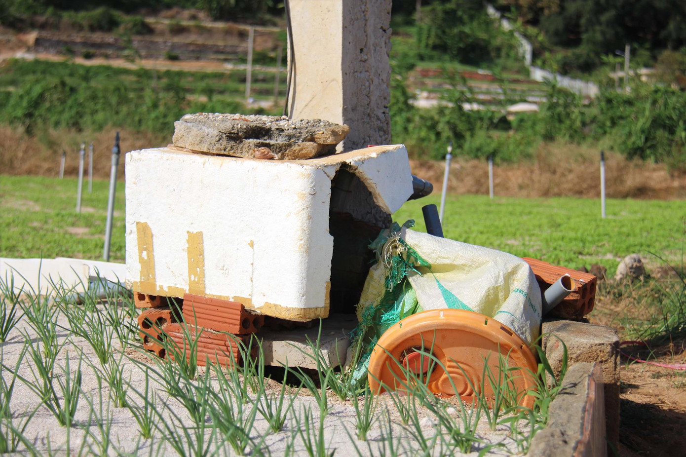 Ồ ạt khoan giếng không phép ở Lý Sơn ảnh 1