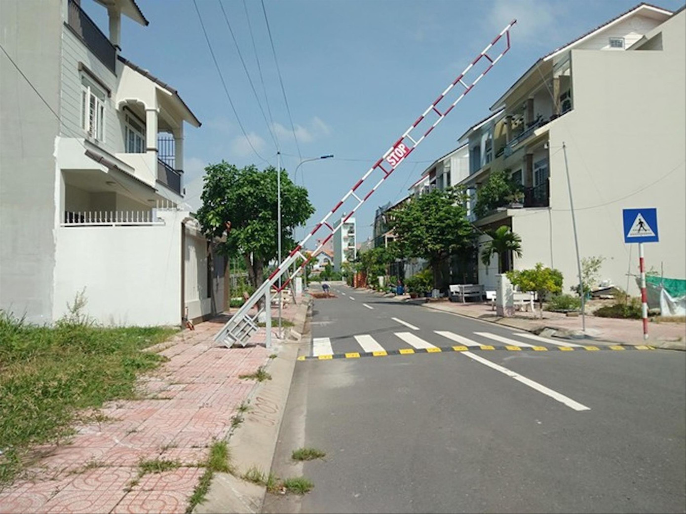 Vụ SAGRI gây thiệt hại 672 tỷ đồng: Ông Trần Vĩnh Tuyến đổ lỗi cấp dưới ảnh 1