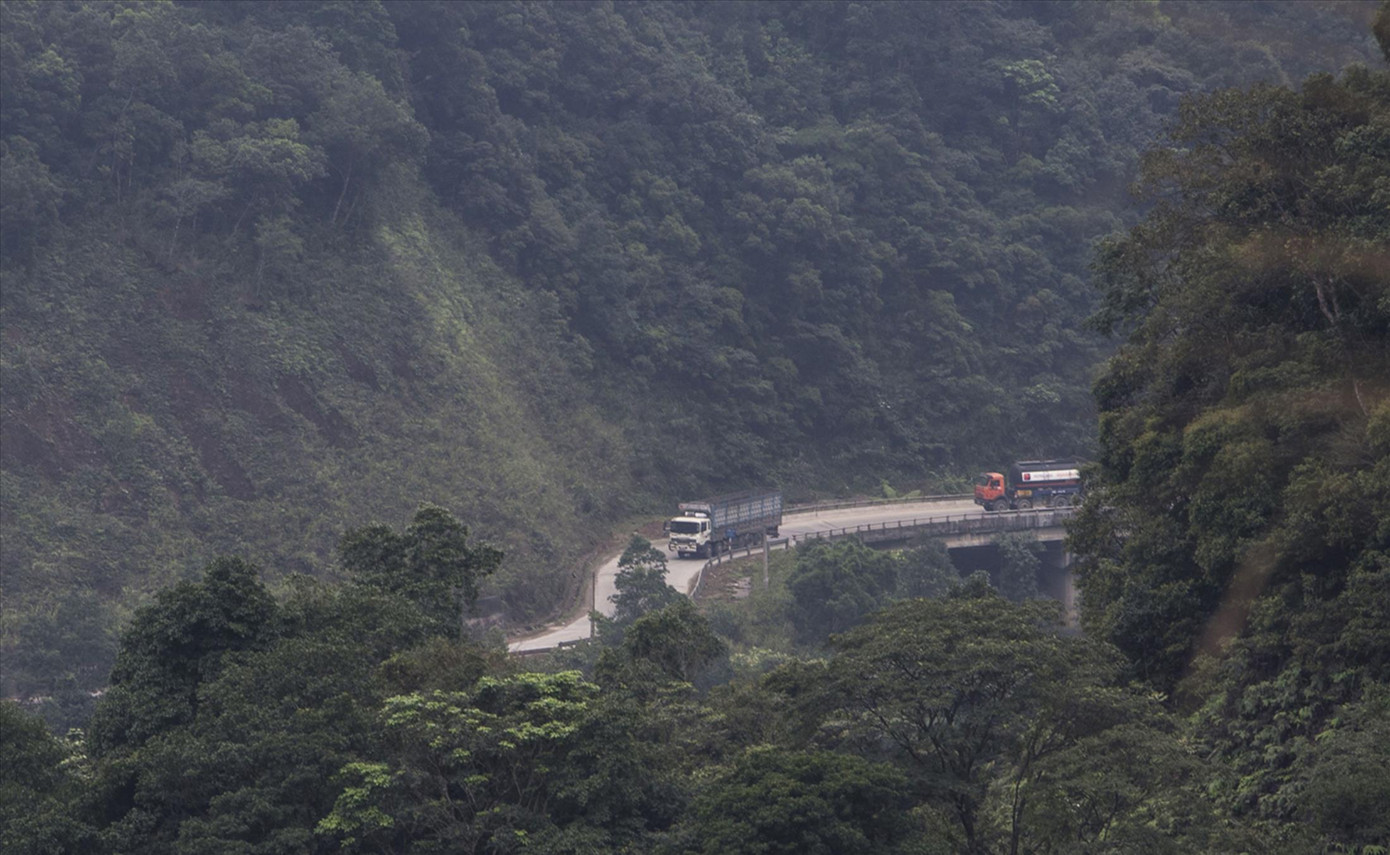 Cuộc chiến trong rừng thẳm ảnh 1