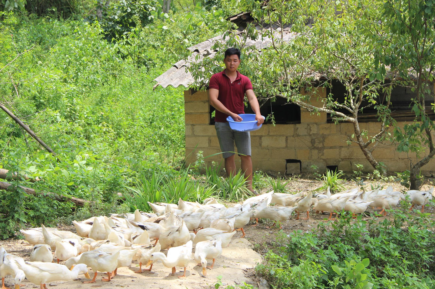 Đổi thay trên quê hương anh Lương Văn Tri ảnh 1