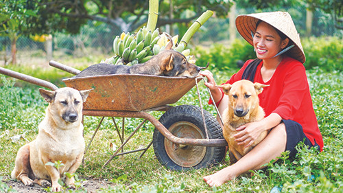 Những kẻ... liều mạng ảnh 6