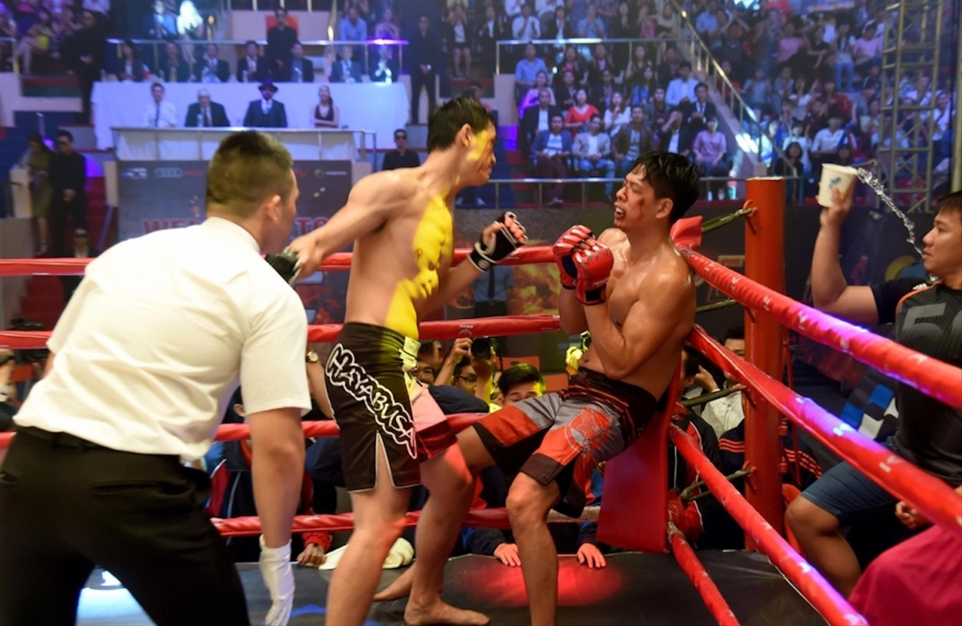 Phim 'bom tấn' Việt: Mong khán giả đừng sớm rút ống thở... ảnh 1