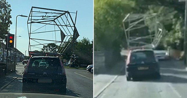 Thế giới muôn màu: Khỉ thích nghe âm thanh đường phố ảnh 1