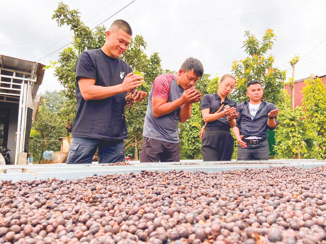 Trương Đình Hoàng: Tay đấm triệu view bán bún đậu, cà phê ảnh 2