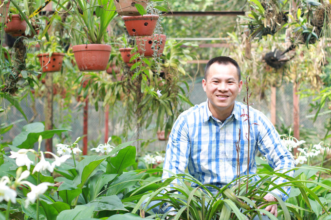 'Gã khùng' mê lan rừng ảnh 1