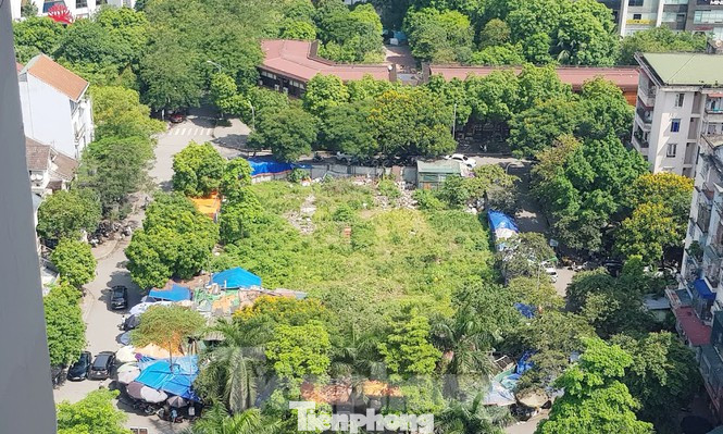 Lo ngại ô 'đất vàng' cuối cùng thành cao ốc, thu hồi siêu dự án triệu đô lấn vịnh ảnh 1