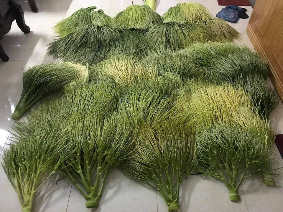 Thị sáp, hoa cau nguyên bẹ đắt hàng ngày mùng 1 mùa Vu Lan ảnh 2