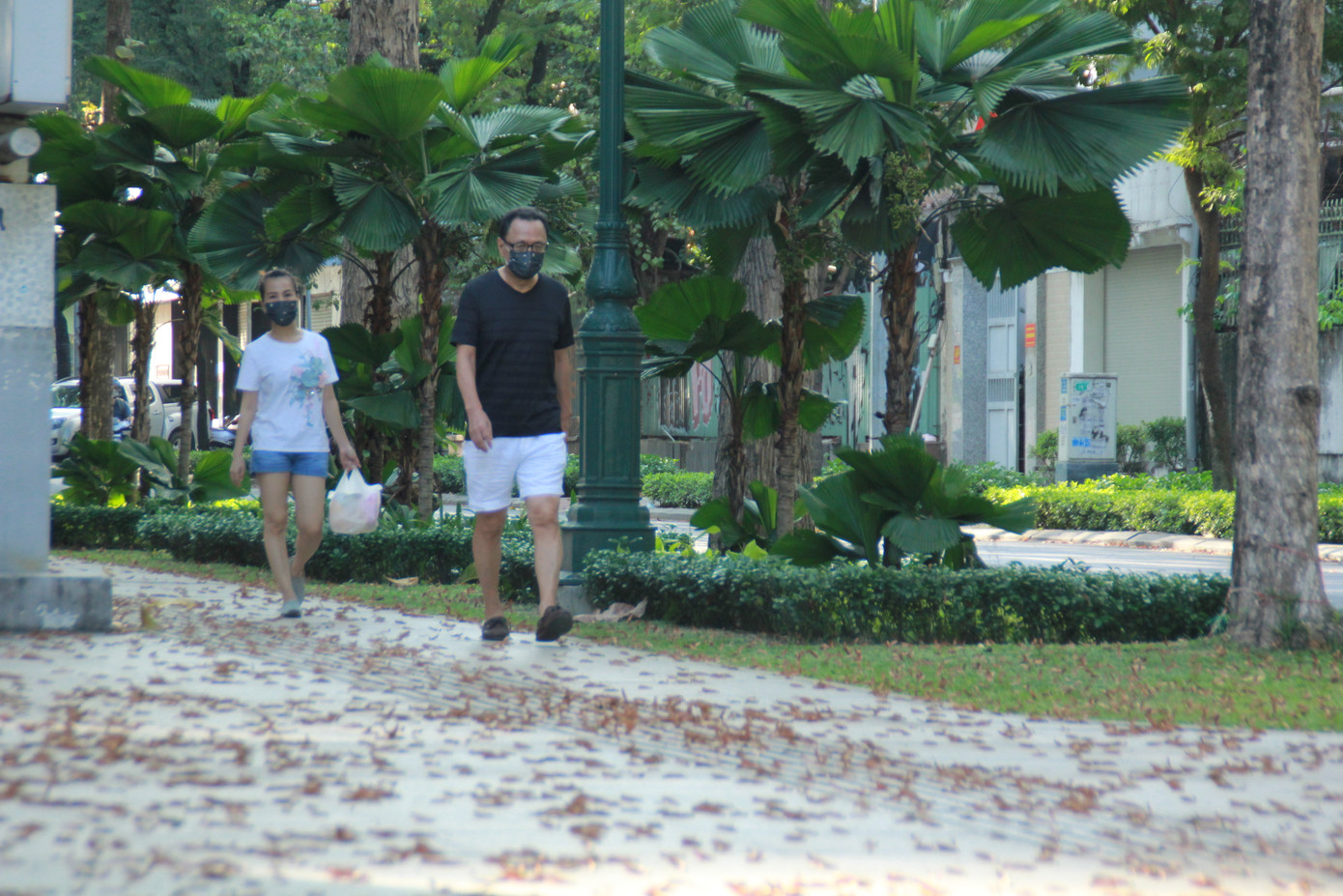 Ngày chớm hè, ngắm cánh chò nâu lả tả bay giữa Sài Gòn ảnh 7