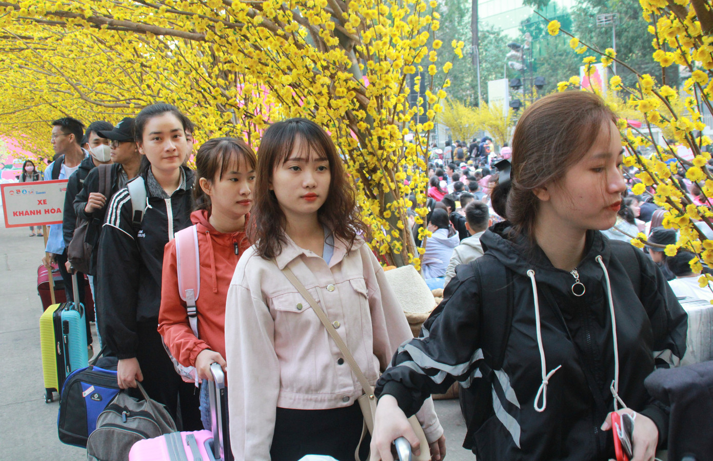 2.500 sinh viên TPHCM lên 'Chuyến xe mùa xuân' về quê đón Tết ảnh 8