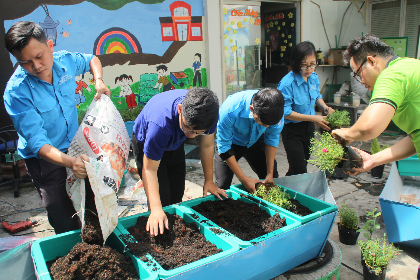 Bạn trẻ tạo mảng xanh mát lành từ công sở đến góc bếp ảnh 1