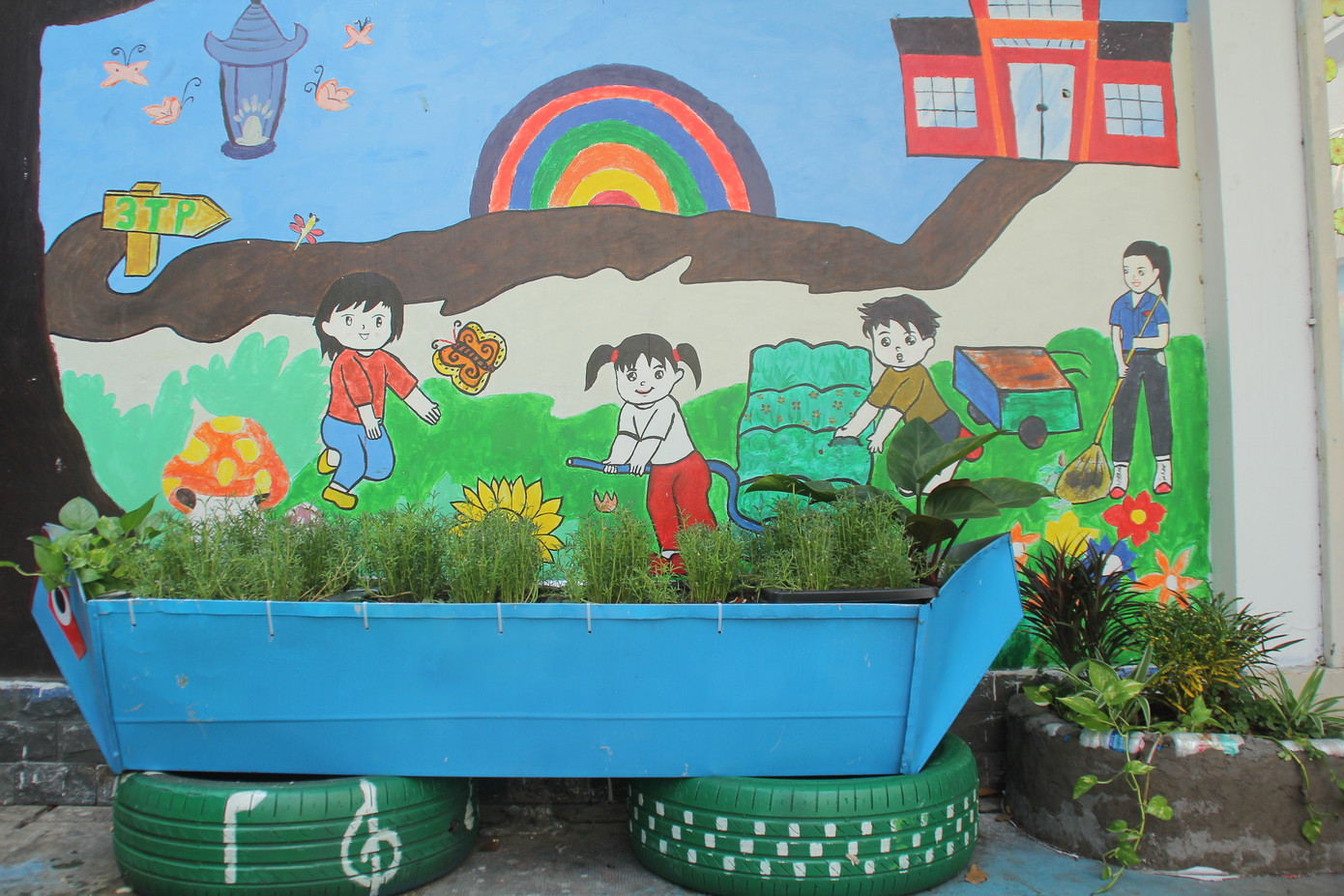 Bạn trẻ tạo mảng xanh mát lành từ công sở đến góc bếp ảnh 3