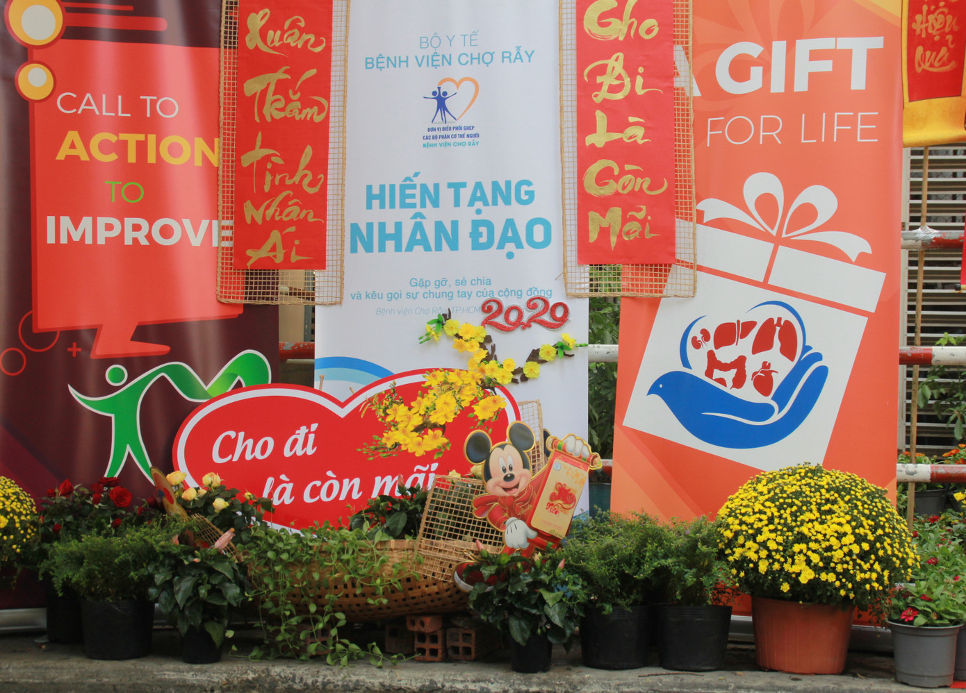 Đẹp mắt đường hoa xuân do các y, bác sỹ dày công chuẩn bị ảnh 10