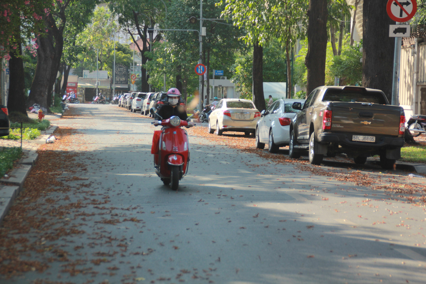 Ngày chớm hè, ngắm cánh chò nâu lả tả bay giữa Sài Gòn ảnh 8