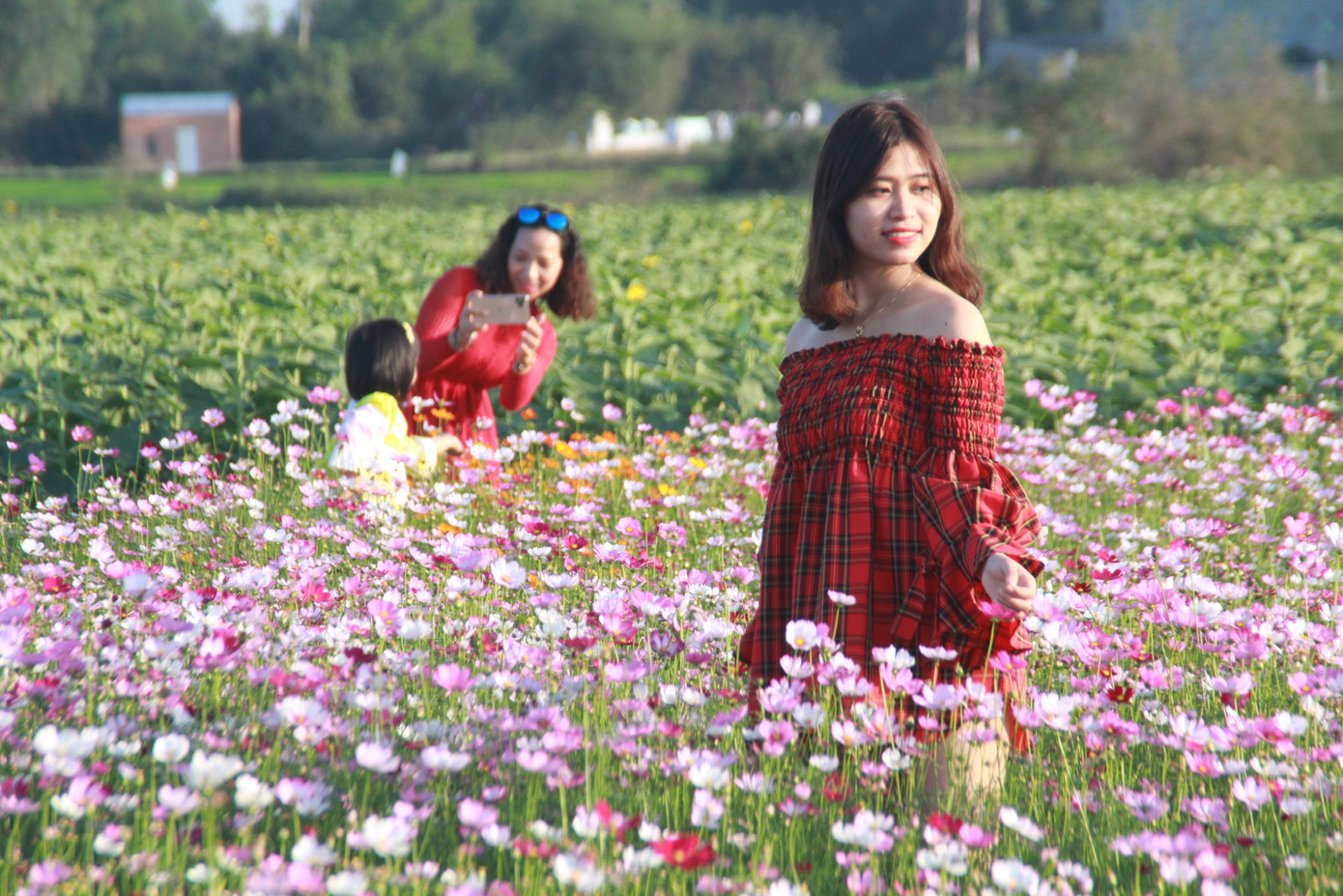 Vườn hoa hướng dương 'khổng lồ' ở Quảng Ngãi hút khách ngày cận Tết ảnh 17