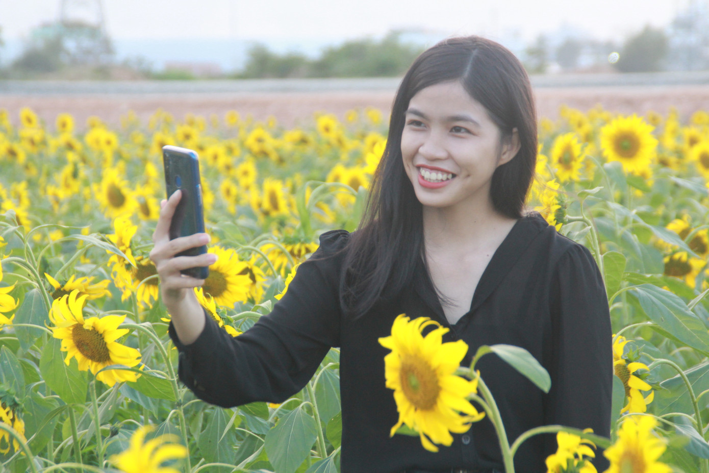 Vườn hoa hướng dương 'khổng lồ' ở Quảng Ngãi hút khách ngày cận Tết ảnh 9