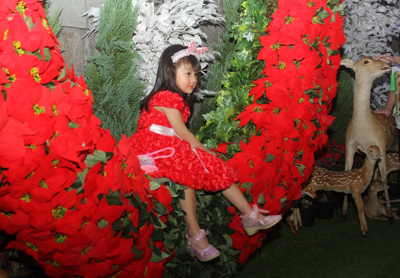 Trẻ em vui thích nô đùa bên hang đá, nai vàng... đón Noel ở biệt thự triệu đô của Mr. Đàm ảnh 13