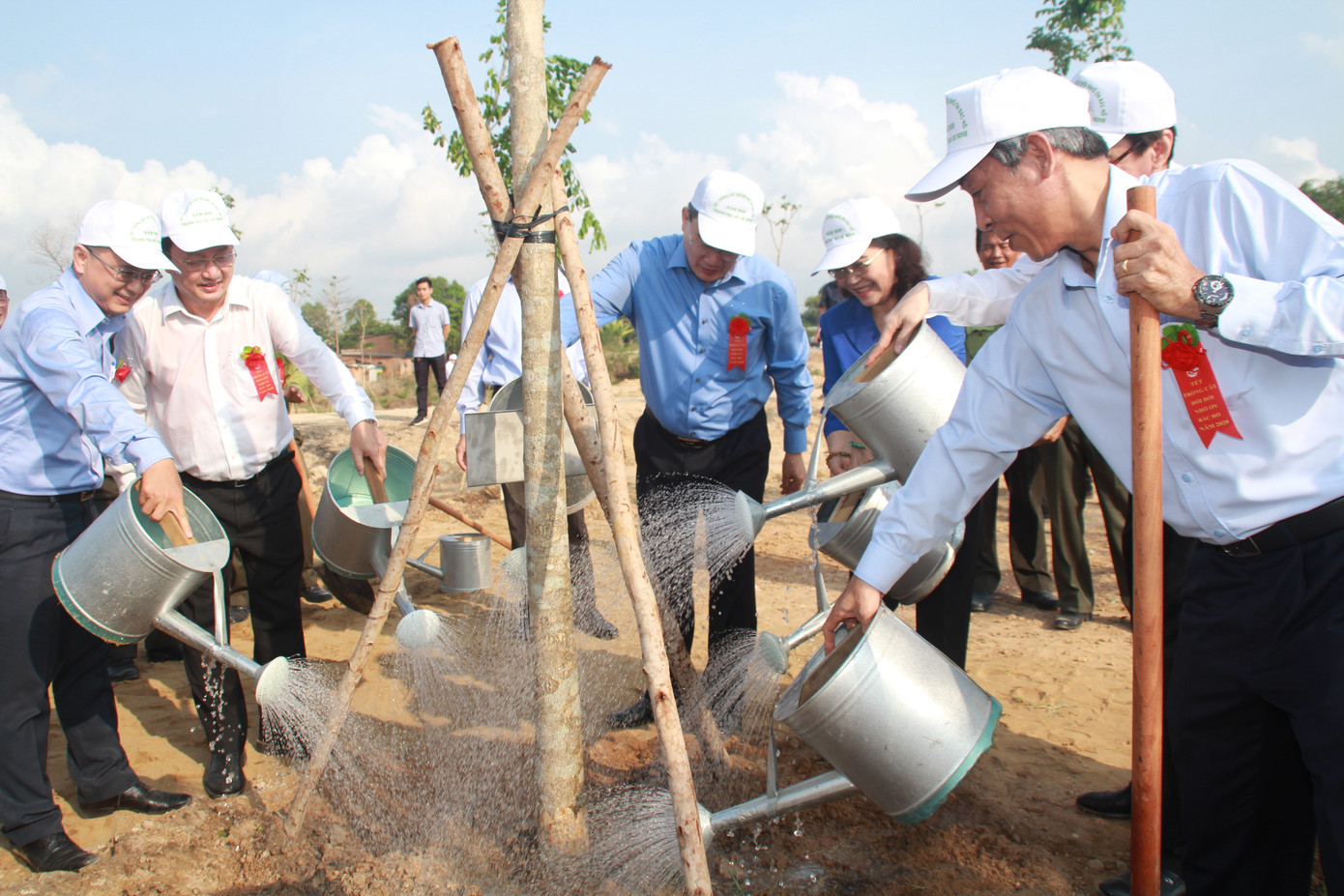 TPHCM phát động Tết trồng cây, đặt mục tiêu trồng 1 triệu cây xanh trong năm 2020 ảnh 6
