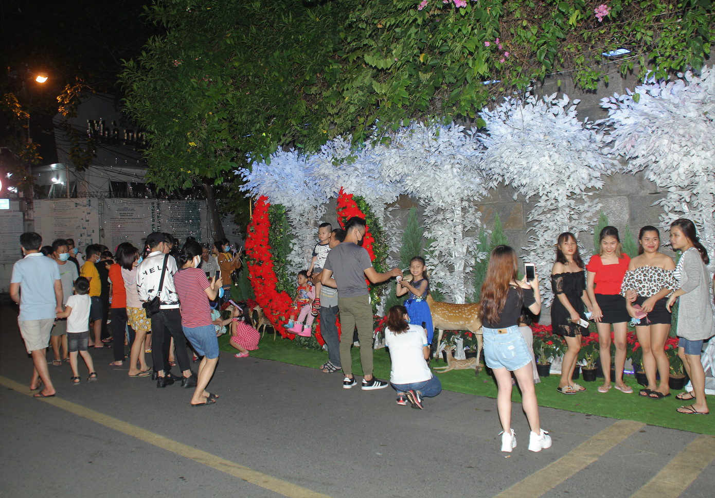 Trẻ em vui thích nô đùa bên hang đá, nai vàng... đón Noel ở biệt thự triệu đô của Mr. Đàm ảnh 4